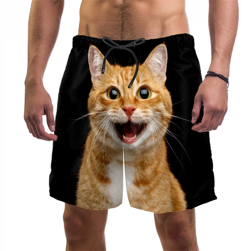 3d Print Grappige Kat Strand S - Trunks Board Surf recensie en prijs